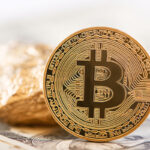 The Pros and Cons of Switching to a Fully Digital Payment Wallet main-cryptocurrency-