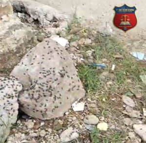 Screenshot_20251218-134232_1