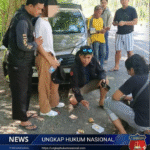 Polish_20260118_211653762