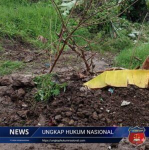 Screenshot_20260103-103115_1