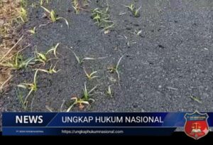 Screenshot_20260107-130737_1