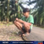 Screenshot_20260120-082547_1