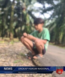 Screenshot_20260120-082547_1