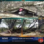 Pohon Tumbang Timpa Ruko Dua Lantai dan Kendaraan di Balekambang Sukabumi, Warga Pertanyakan Tanggung Jawab Pihak Terkait Screenshot_20260124-130733_1