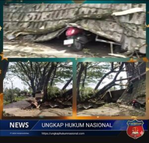 Screenshot_20260124-130733_1