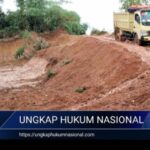 Screenshot_20260208-162842_1