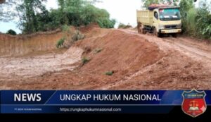 Screenshot_20260208-162842_1