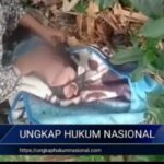 Screenshot_20260302-161335_1