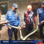 Screenshot_20260303-150757_1