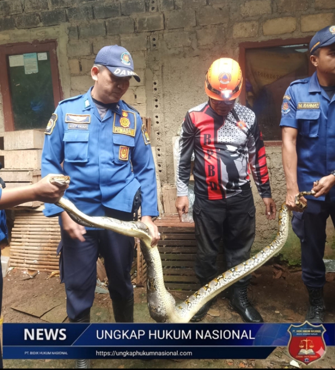 Screenshot_20260303-150757_1