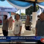 Screenshot_20260313-163123_1