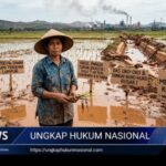 Sawah Tercemar Lumpur Nikel, WALHI Sultra Desak Pemerintah Tindak Tegas PT IPIP dan PT Vale Screenshot_20260403-185027_1