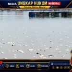 Viral Ikan Mati di Jangari, DPKHP Cianjur Sebut Fenomena Upwelling Jadi Pemicu Utama Screenshot_20260719-200450_1